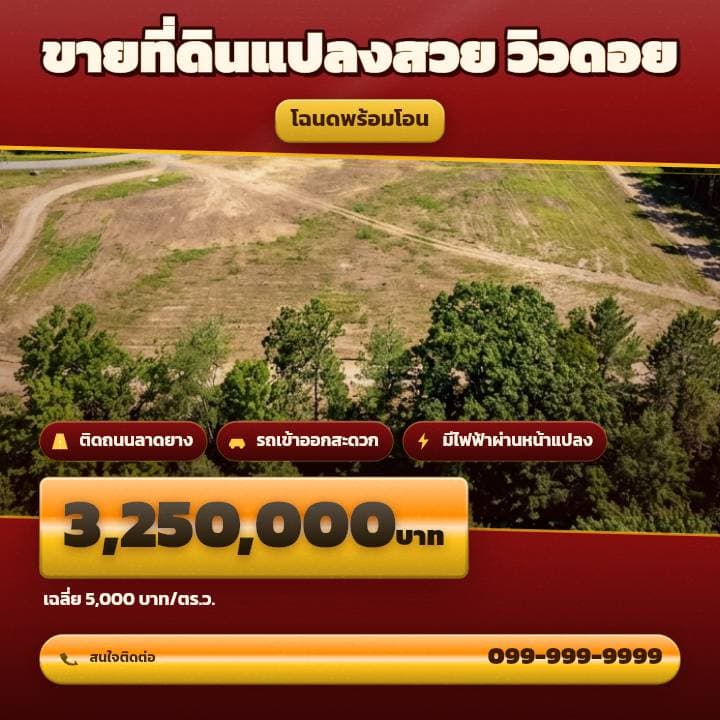 ตัวอย่างโปสเตอร์ประกาศอสังหาฯ จังหวัดเชียงใหม่ — ขายที่ดินแปลงสวย วิวดอย