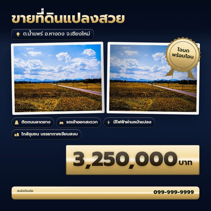 เทมเพลตโฉนดคู่ภาพที่ดิน โทน กรมท่า-ทอง